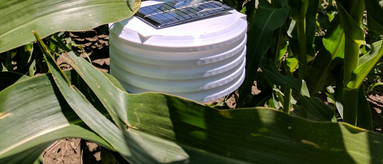 Iowa State-Iowa Researchers Team Up to Advance State’s Bioscience Priorities