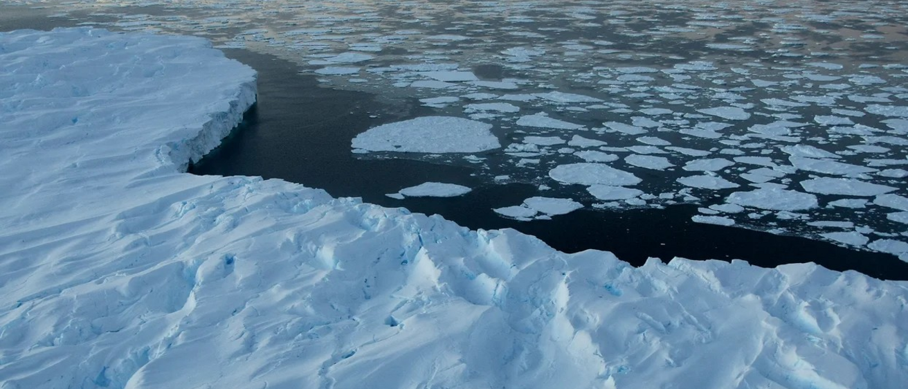 Italy Will Make Studying Climate Change in Schools Mandatory 'The 21st-Century Citizen Must be a Sustainable Citizen'