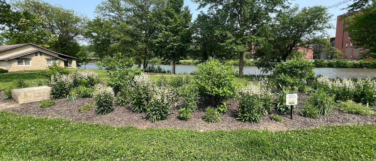 Lagoon Shelter House Pollinator Garden