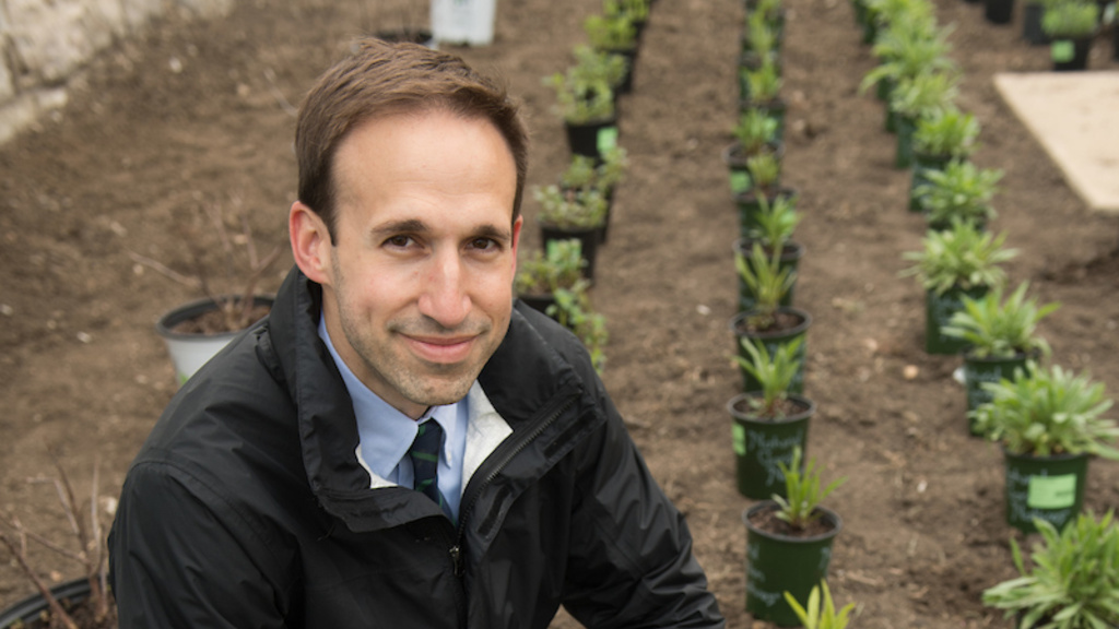 Stratis Giannakouros planting a garden