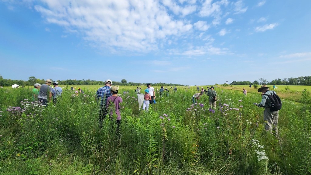People wandering in the prairie