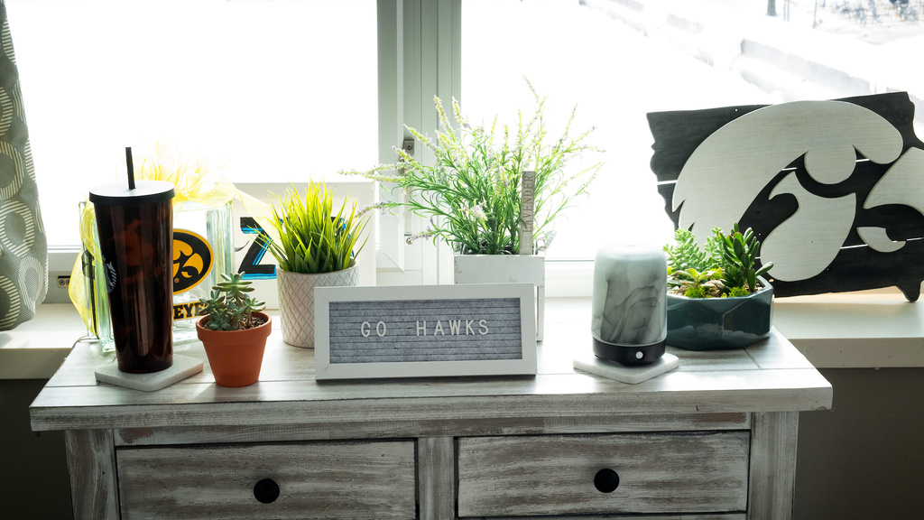 Residence hall room plants and window