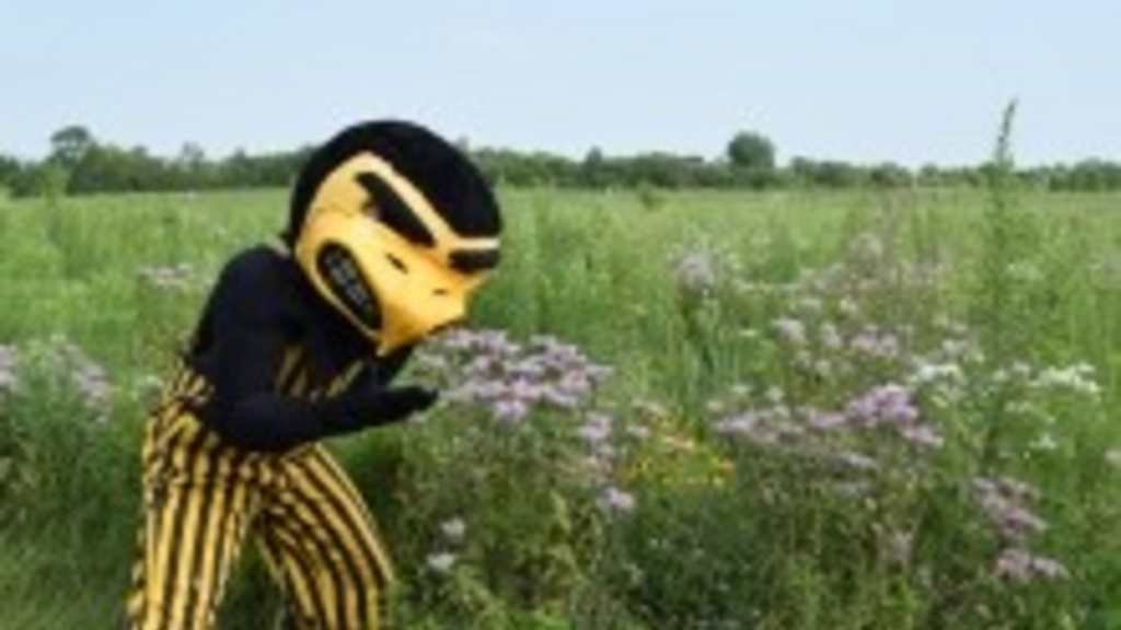 Garden Walks with Judy Herky Visits the Prairie
