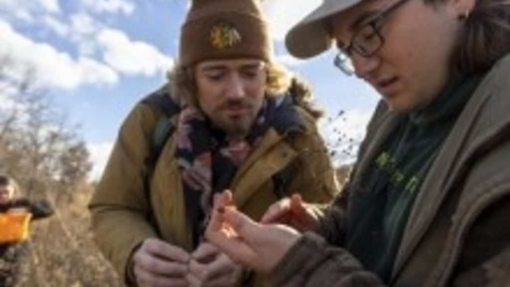 Students Restoring Prairies Across Iowa City Photo