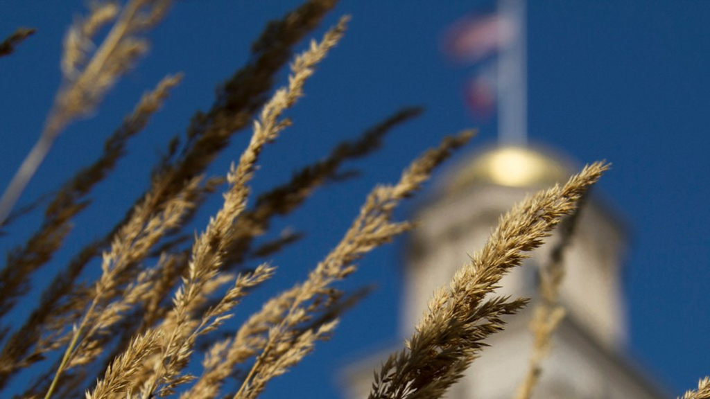 Sustainable Women's History at the University of Iowa Photo