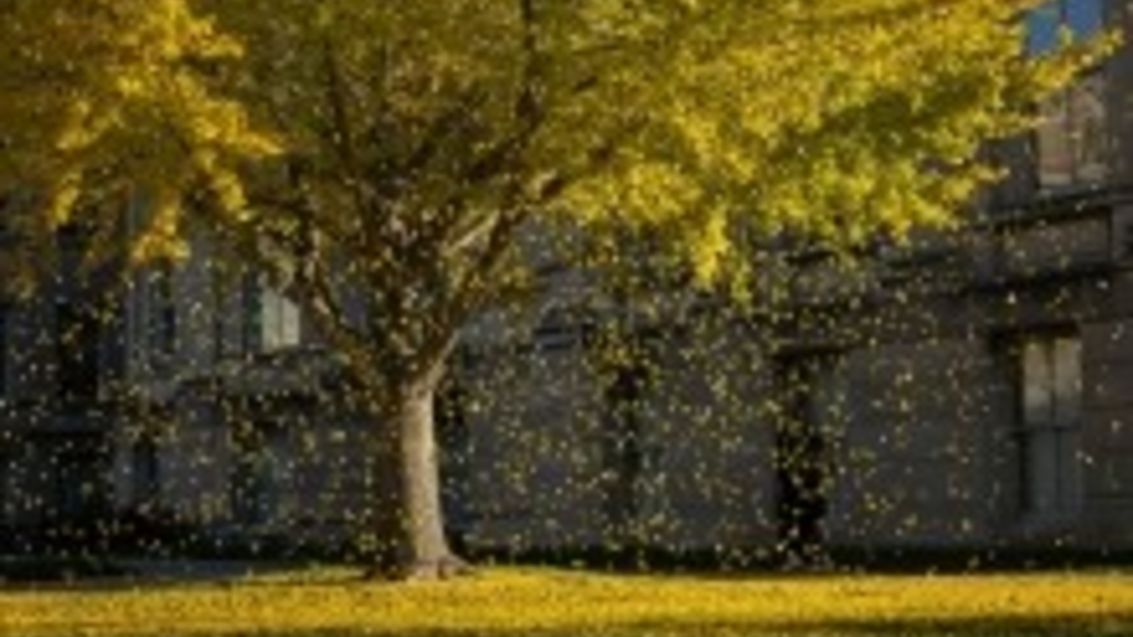 UI Receives Gold Rating for Sustainability Efforts