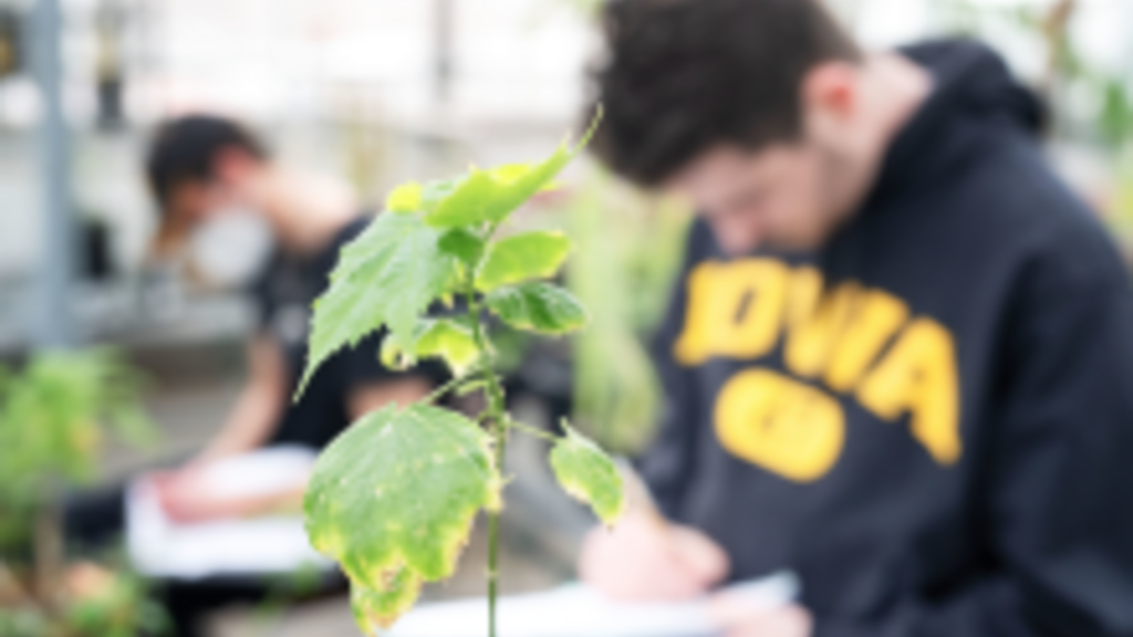 CLAS Sustainability Course Requirement Advances UI Strategic Plan