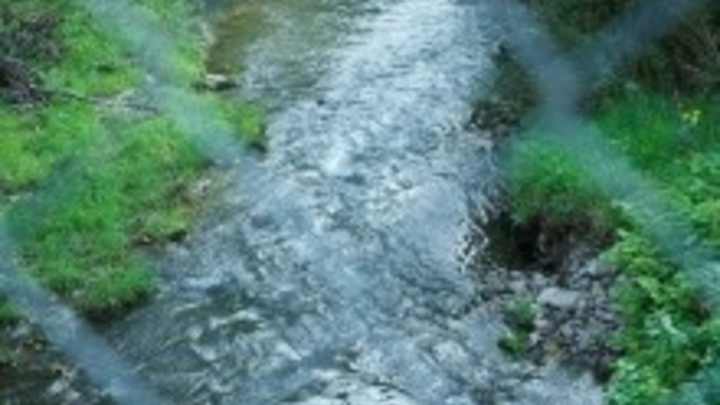 College of Law Events to Explore Environmental Law Topics