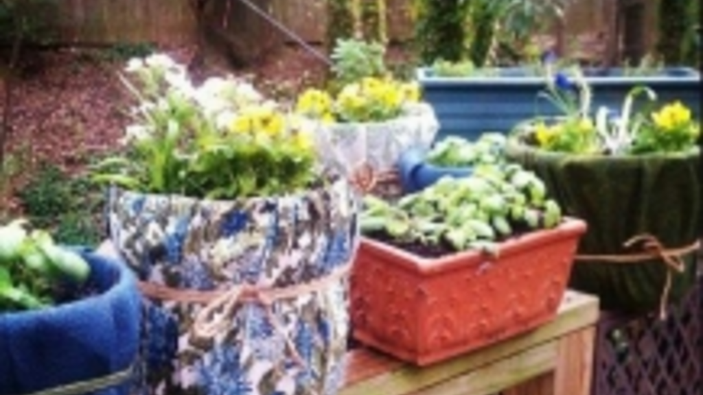 Gardening Doesn't Have to be Expensive