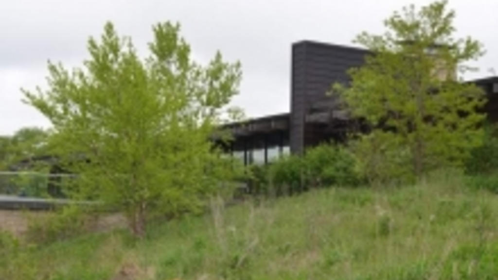 Iowa City to Establish 56 Acres of Prairie
