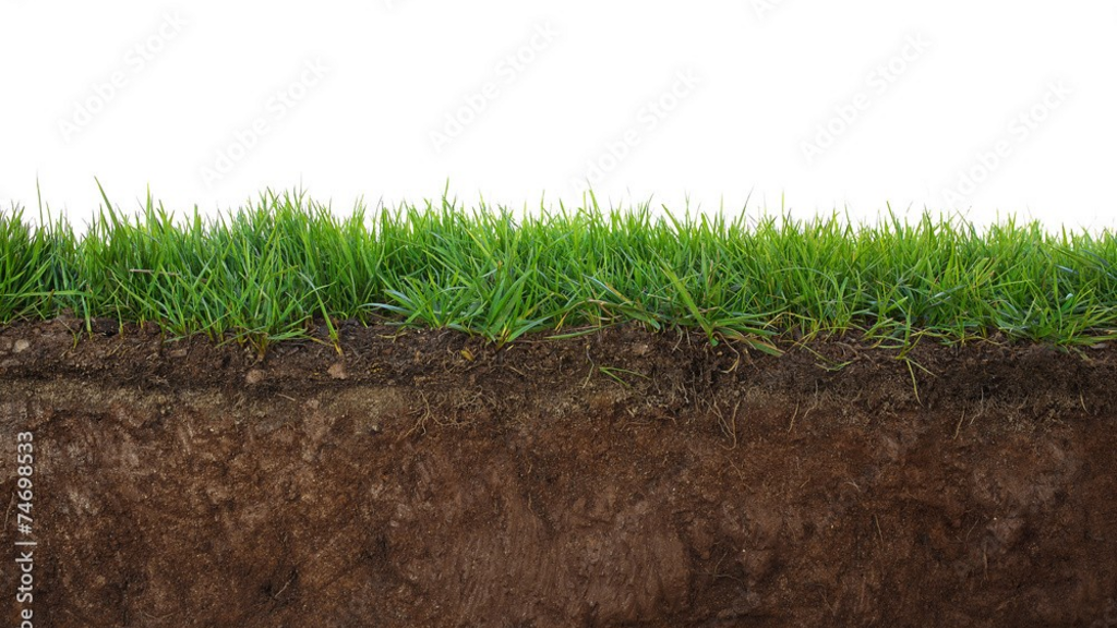Iowa Lab Digs into Soil Organic Matter