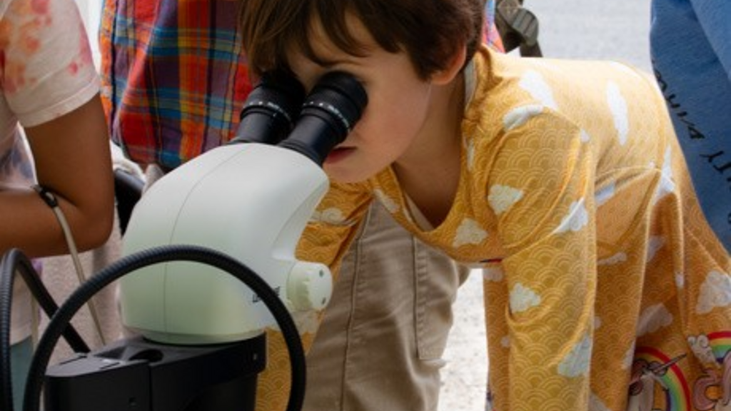 Public Gathers Samples, Explores the Environment During UI BioBlitz