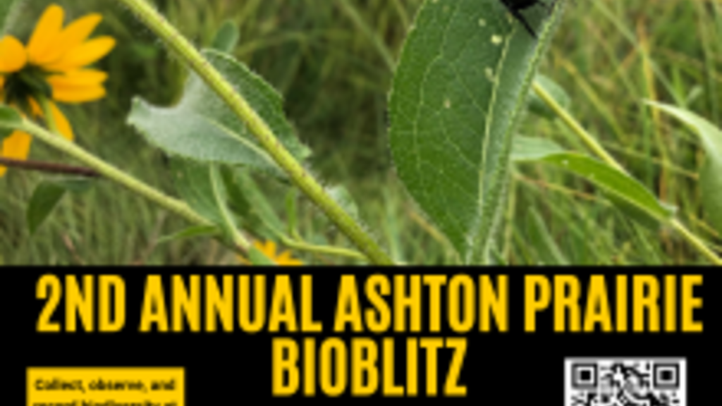 Register Now for the 2nd Annual Ashton Prairie BioBlitz