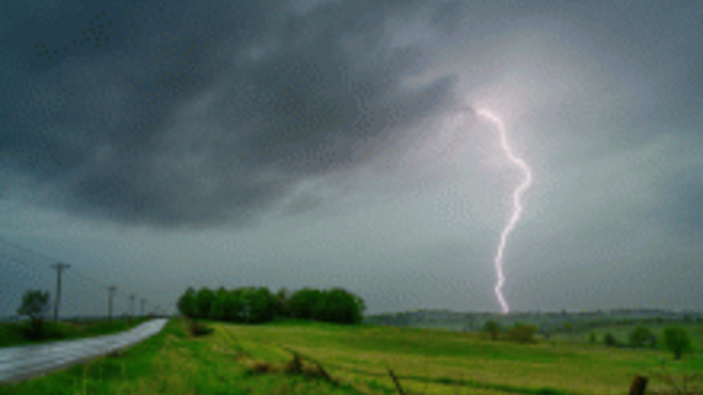 Spring Rains: A Surprising Source of Pollen