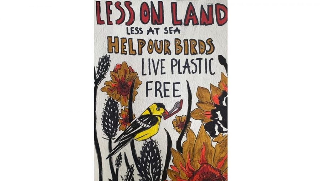 Kelsey Turnis Uses Art to Explore Environmental Crises