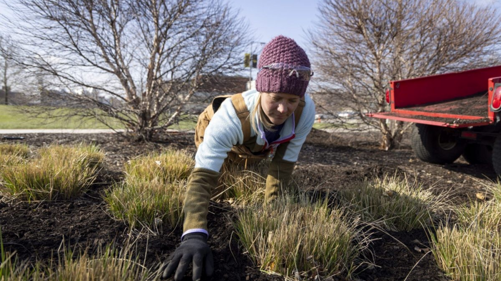 UI Landscapers, Sustainability Program Prepare for Spring