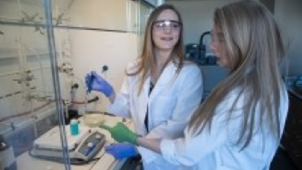 University of Iowa Establishes Research Group on Nuclear Energy and Waste