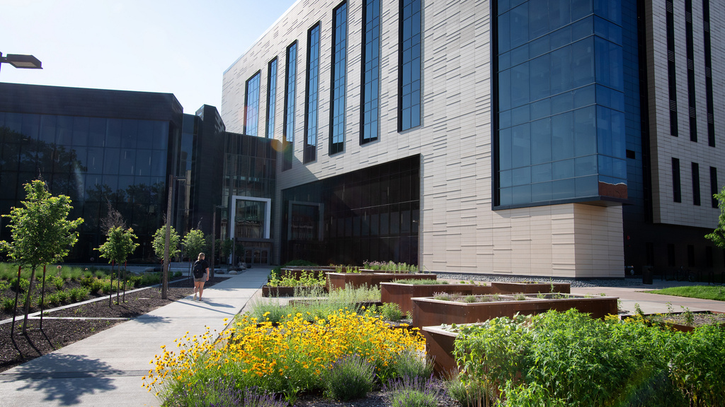 Pharmacy Medicinal Garden
