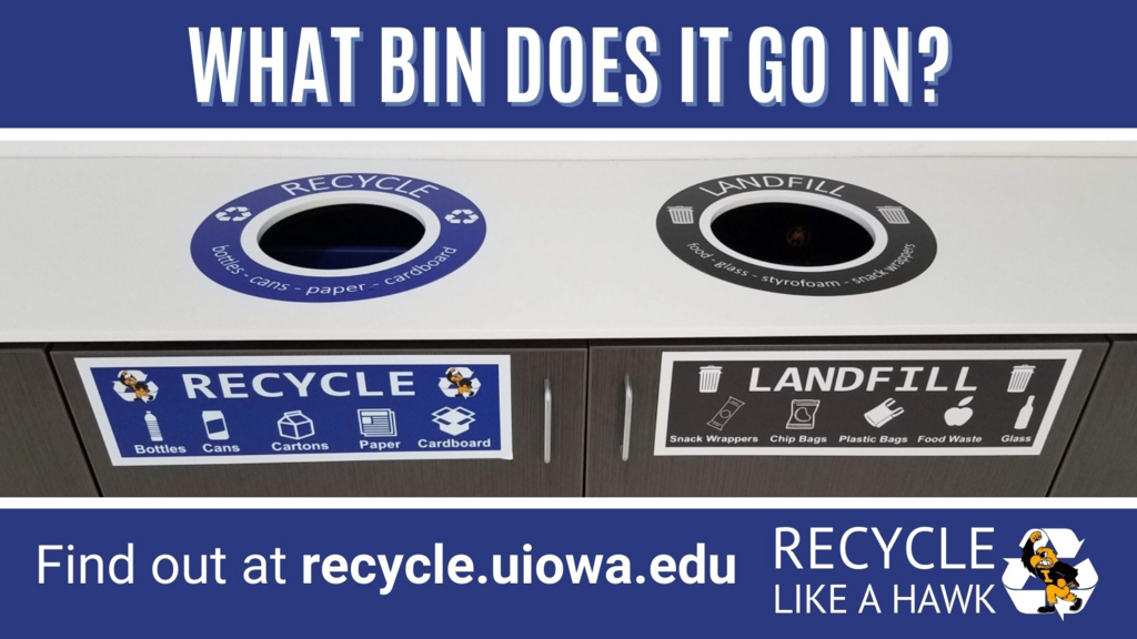 What Bin Graphic Image