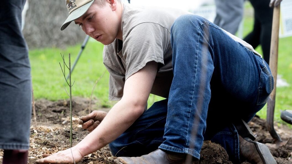 Easton Harper plants a tree during Miyawaki Forest Planting