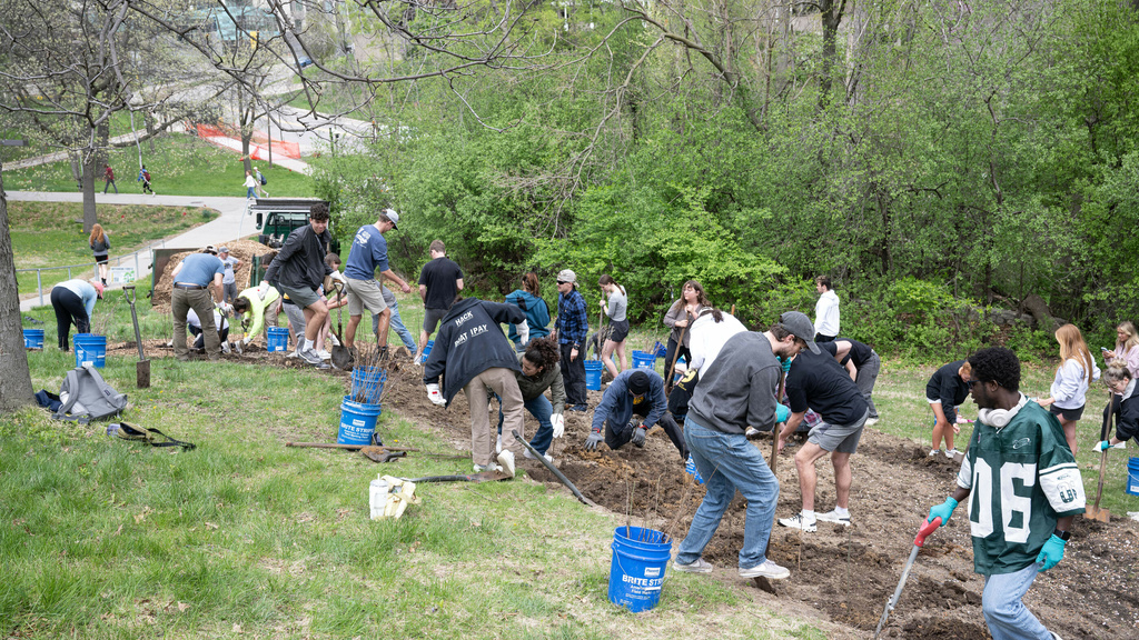 Volunteers planting Miyawaki Forest