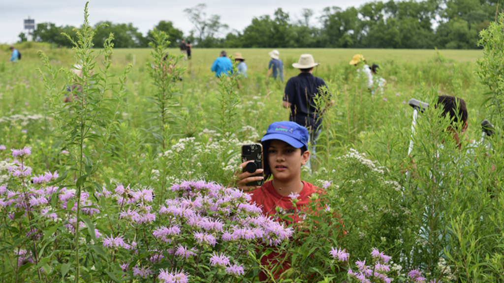 a child taking a photo of flowers in a prairie with people in the background