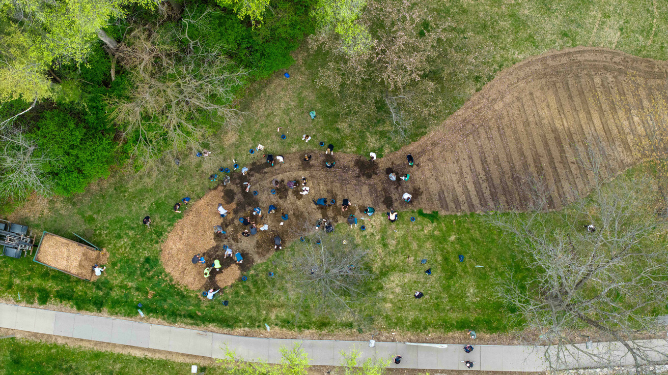 Aerial view of volunteers planting Miyawaki forest