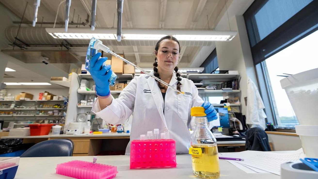 doctor in lab with pipette